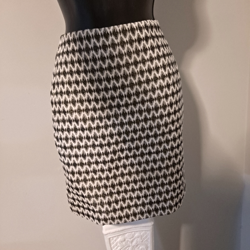 Gorgeous Loft Skirt, skirt has a zipper in the back.